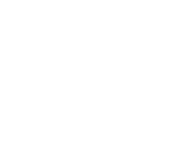 Logo Rhinos